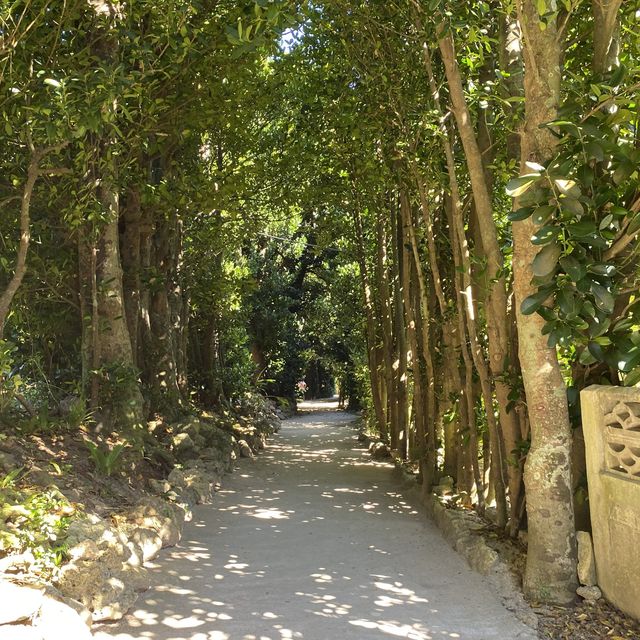 【沖縄･本島】緑いっぱいの癒しスポット✨