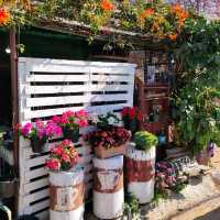 บ้านร่องกล้า
