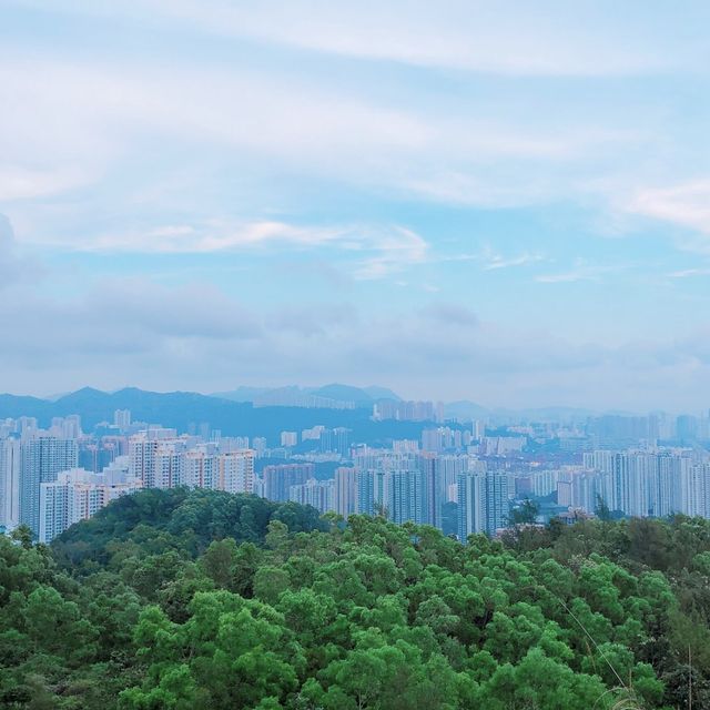 懶人新手行山路線💪🏻青衣自然徑