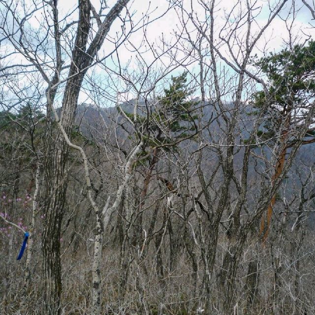 평창의 유명 명산 두타산 등산