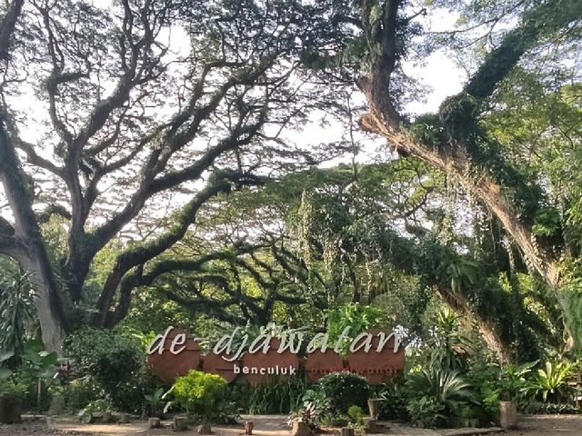 Great National Park Wonderful Indonesia