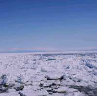 ガリンコ号とカニの爪　北海道釧路