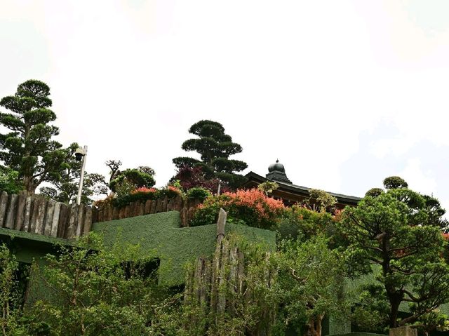 志蓮淨院，南蓮寺略貌