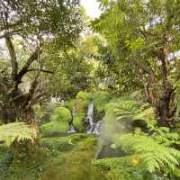 ชมคาเฟ่ เชียงใหม่ ร้านกาแฟหรือแดนในเทพนิยาย