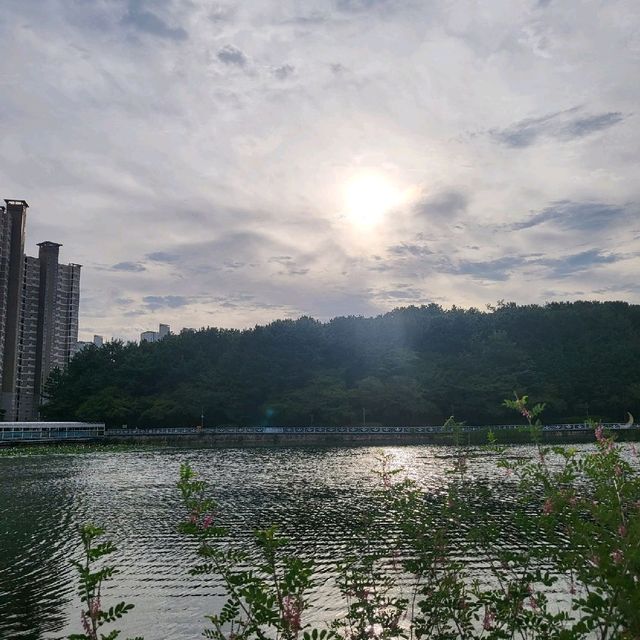 도심 속의 여유를 느낄 수 있는 공간 창원 '용지호수공원'