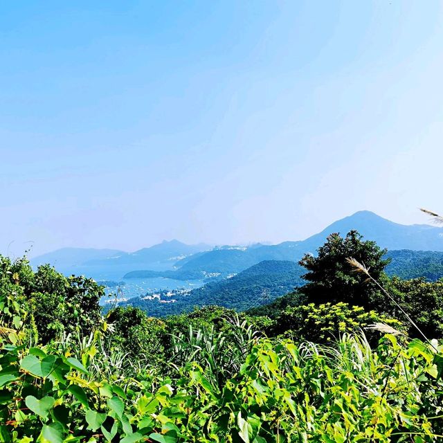 北港古道•茅坪坳•大水井古道
