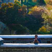 Suwon Fortress 