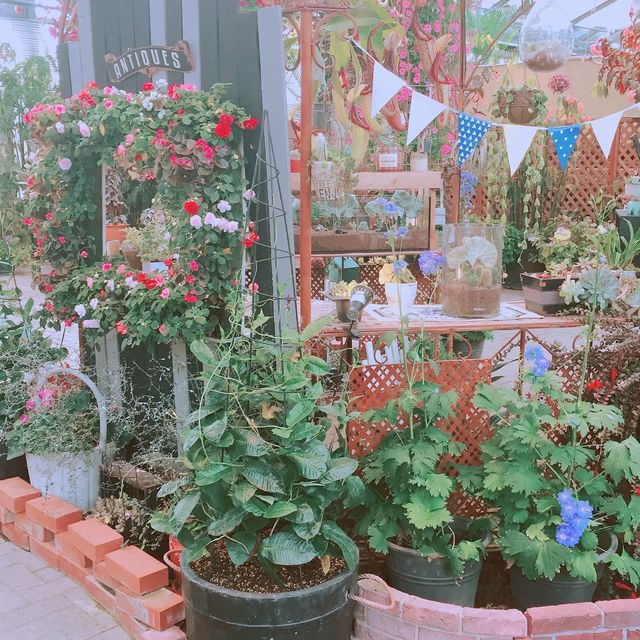 【日本 三重】日本最大規模花海 🌹🌷🌺🌸🌼