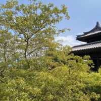 大埔慈山寺⛩️