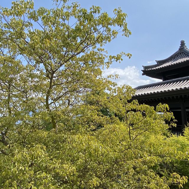 大埔慈山寺⛩️
