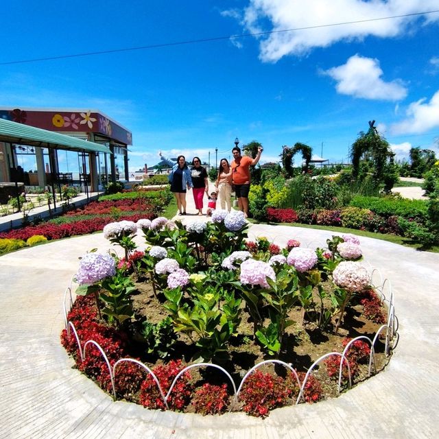 On top of the 'world' at Apo Flower Garden