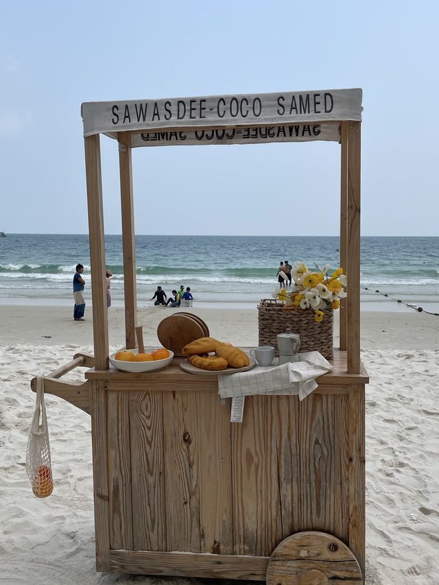 Sawasdee-coco Khosamed🌊🌴