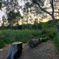 南生圍單車🚲觀鳥🕊️黃昏🏜️之旅