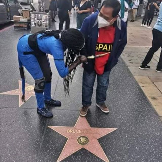 HOLLYWOOD: WALK OF FAME TO REMEMBER