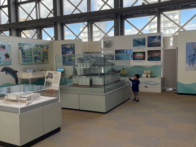 レトロな感じが逆に良い？！須磨水族館🐟
