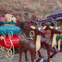 서울근교에서 산타가 가장 많은곳은 여기 🤶🧑🏻‍🎄🎅