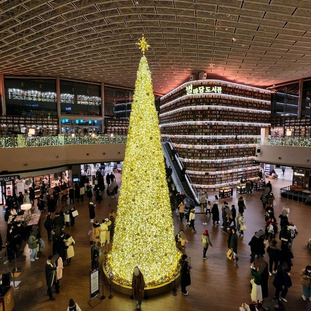 코엑스 별마당도서관, 마법같은 크리스마스의 순간!