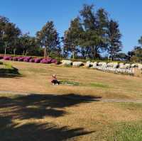อุทยานธารงาม-ภูฝอยลม