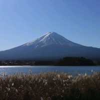 一窺富士山全貌嘅好地方 - 河口湖大石公園👍