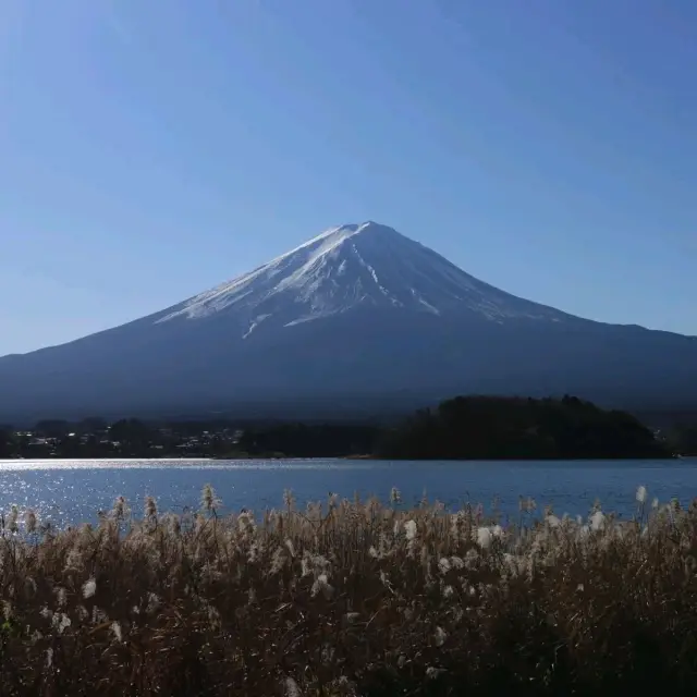 一窺富士山全貌嘅好地方 - 河口湖大石公園👍