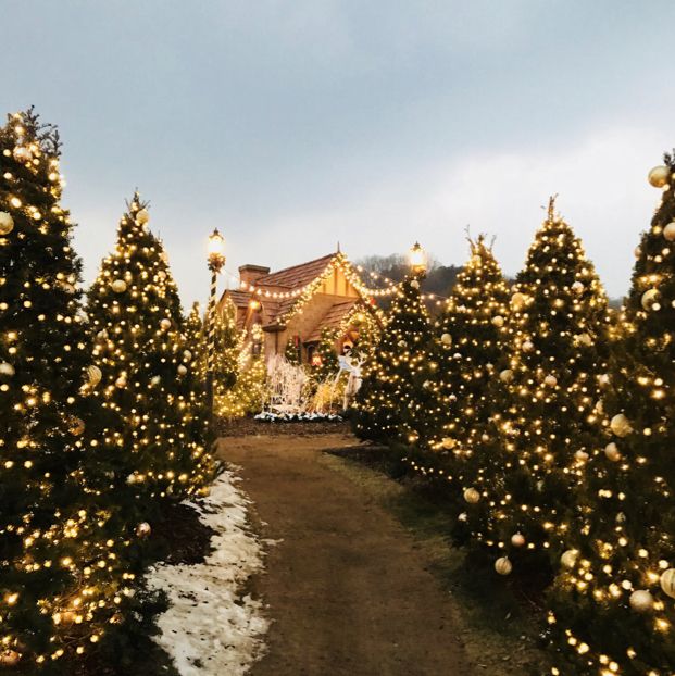 Christmas season in Everland