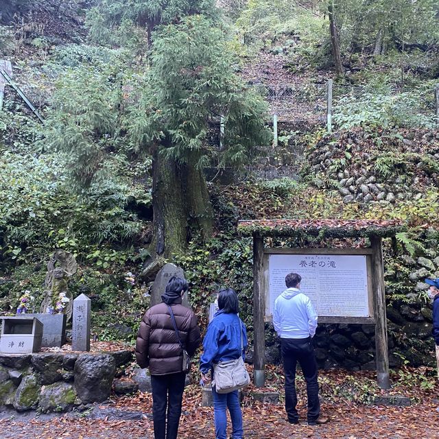 日本壯觀必訪的養老瀑布