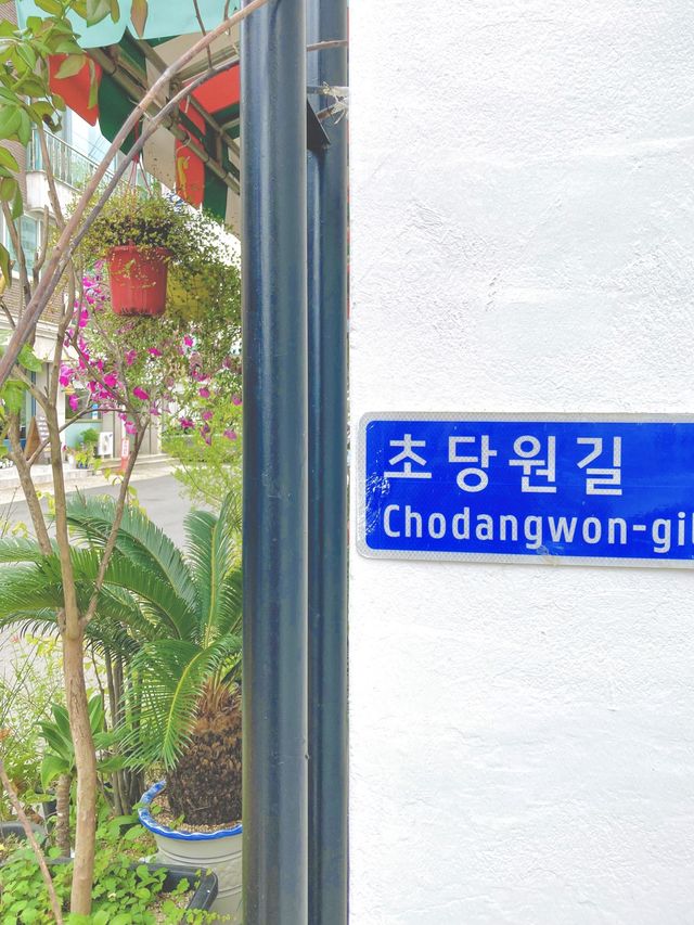 강릉 초당순두부마을 여행코스 ! 감성골목편✨
