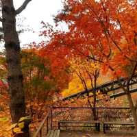 Colours of autumn at Hwadam-sup