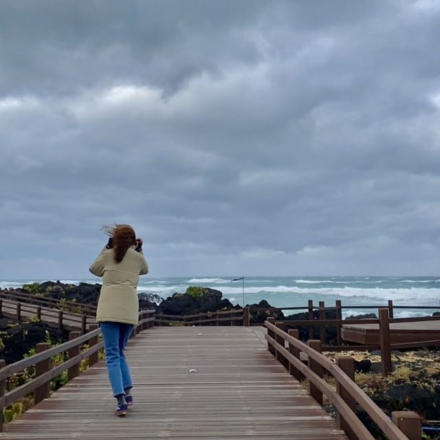 제주도에서 만나는 선인장 군락🌵 월령리 선인장 군락✨