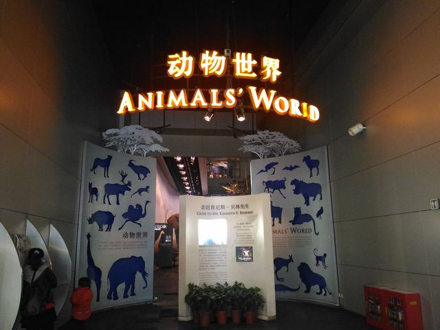Animal Kingdom - Shanghai Science Tech Museum