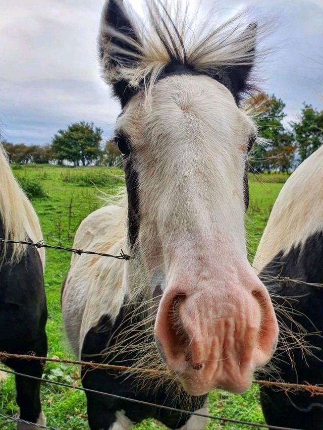 Visiting the Cotswolds ♥️🇬🇧