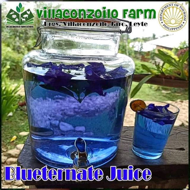 Villaconzoilo Farm restaurant 