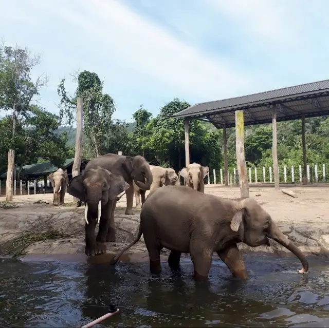 Lok Kawi Wildlife Park - Borneo, Malaysia