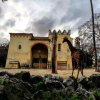 Didn't expect Portugal to have such a great zoo experience.