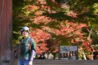 Autumn trip to Kyoto, Japan, enjoy the beauty of Bishamon-do and the red leaves of Daigo-ji Temple.