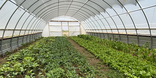 OC Permian Basin Foodshed Field Day | 4347 FM829