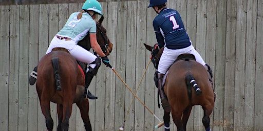 Polo Winter Varsity 2024 | Oxford Polo Ltd