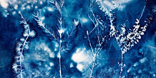 Atelier cyanotype | 37 Rue du Clos