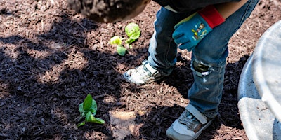 Grow and Walk Philly | West Oak Lane Library