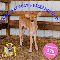 Sally's Dairy Day Camp 2025 | 1265 Carson Edwards Rd