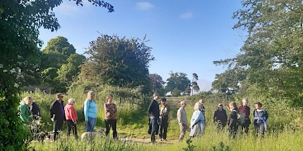 Discover Changes at Martlesham Wilds | Martlesham Wilds