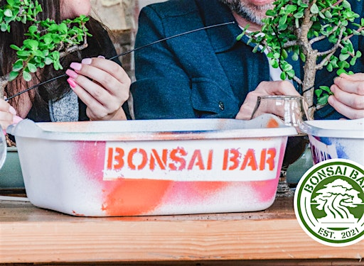 Bonsai Workshop at Rushford & Sons Brewhouse | Rushford & Sons Brewhouse