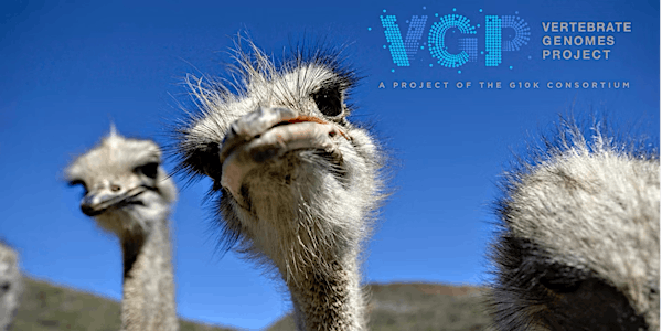 Vertebrate Genomes Project (VGP) In-Person Conference 2025 | The Rockefeller University