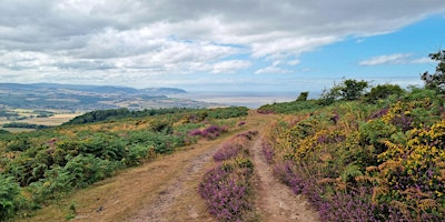 80 Miles in Eight Days Challenge Walk | County Gate Car Park Exmoor