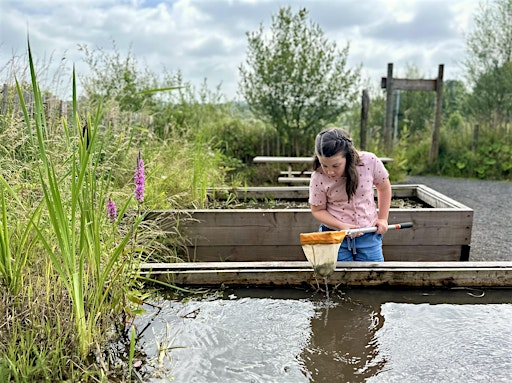 Pond Dipping at Brockholes Nature Reserve | Brockholes