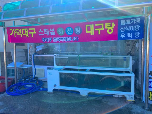 [🇰🇷, 창원] 겨울 특별 보양식 대구탕 맛집, 진해 용원횟집 🐟