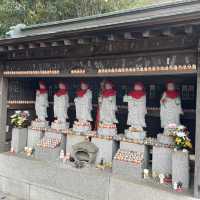 【静岡】鎌倉殿の13人・北条家ゆかりの地「願成就院」