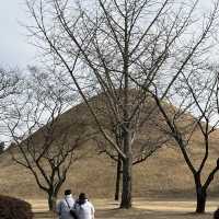 경주 포토존 여행코스 , 대릉원 