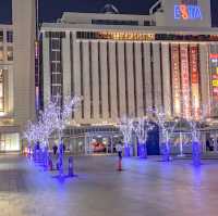 冬の夜の札幌駅