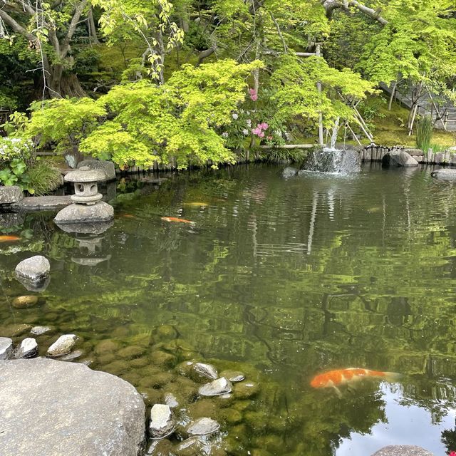この世の極楽に鎌倉観光なら長谷寺